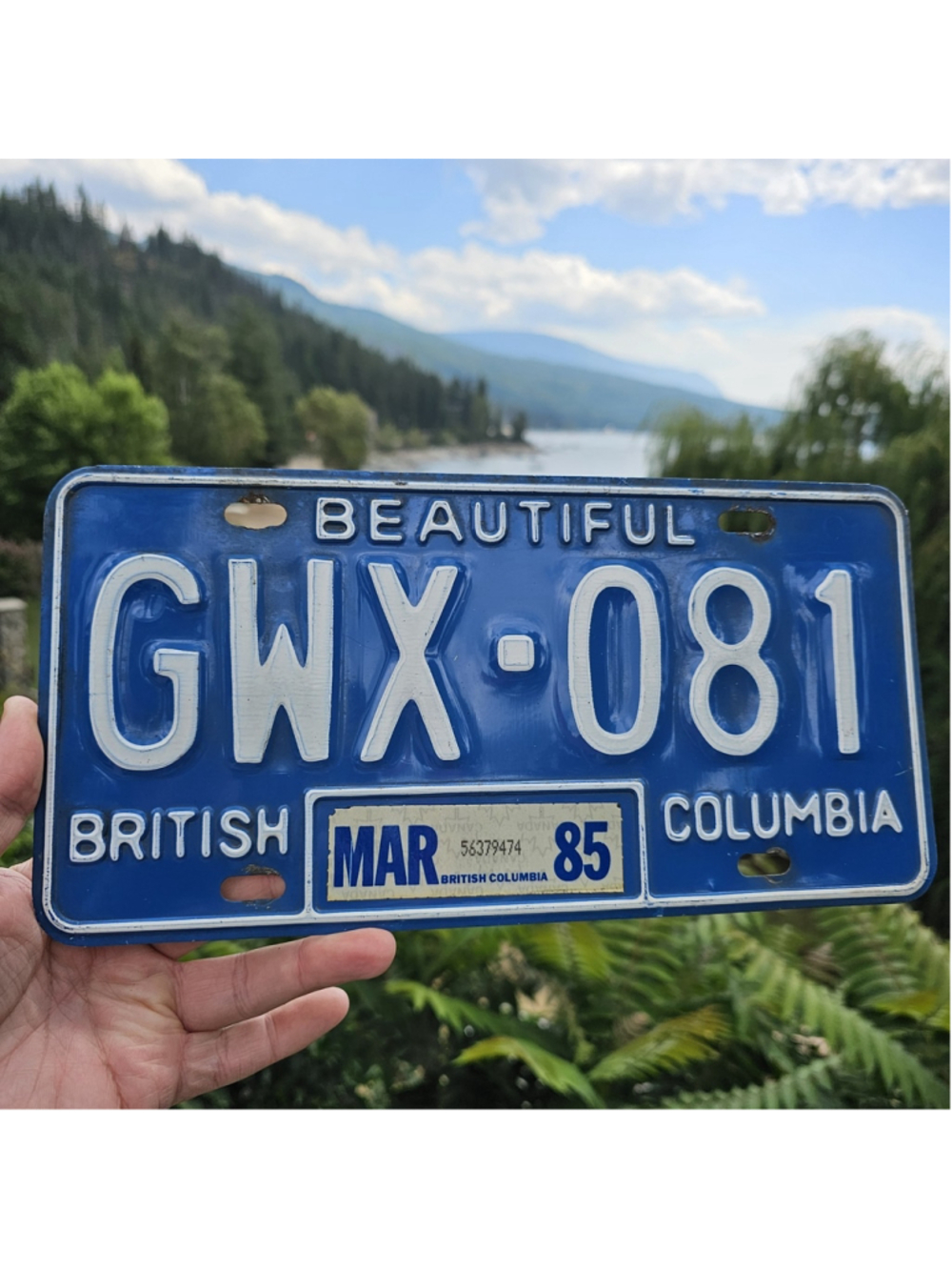 Vintage 1985 British Columbia License Plate GWX-081 Beautiful BC Canada